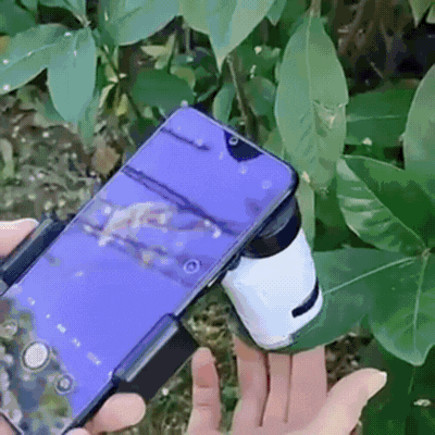 Mini Microscopio Para Niños