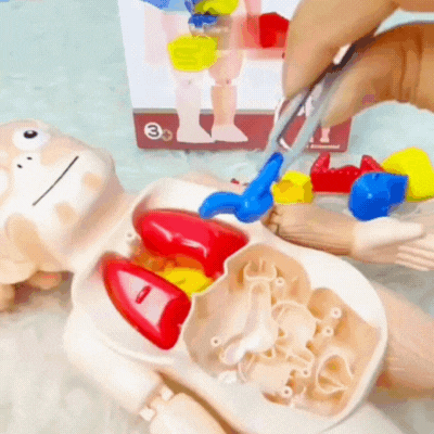 Rompecabezas Cuerpo Humano 3D