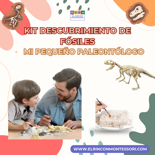 Kit de Descubrimiento de Fósiles - Mi pequeño paleontólogo
