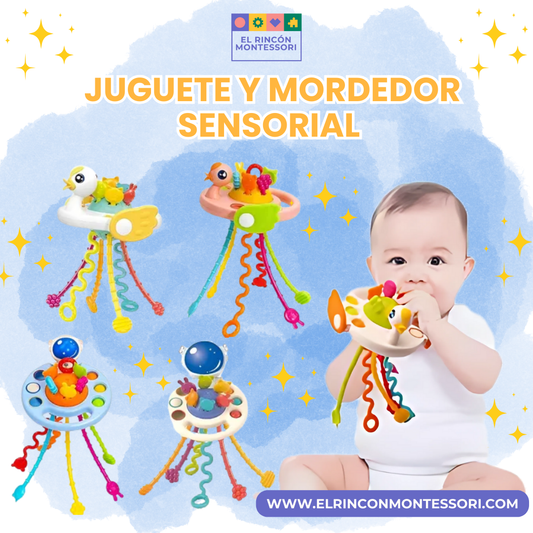 Juguete y Mordedor Sensorial