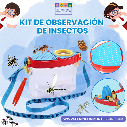 Kit De Observación De Insectos