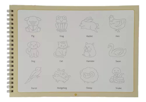 Set De Caligrafía Montessori