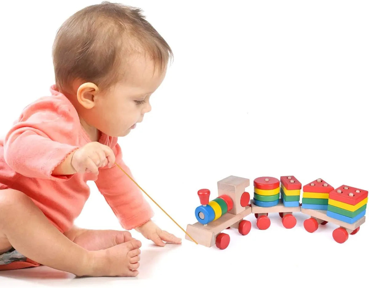 Tren De Madera Didáctico