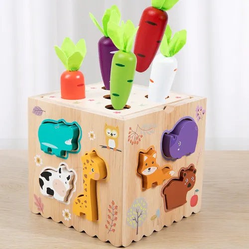 Cubo De Multi Actividades 8 En 1