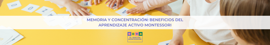 Memoria y Concentración: Beneficios del Aprendizaje Activo Montessori