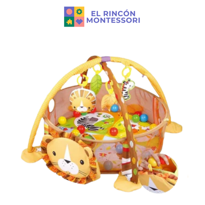 Gimnasio Para Bebes 3 En 1