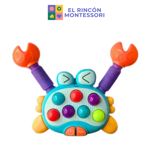 Cangrejo Musical Estirable