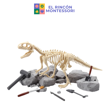 Kit de Descubrimiento de Fósiles - Mi pequeño paleontólogo