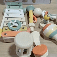 Instrumentos Musicales Montessori