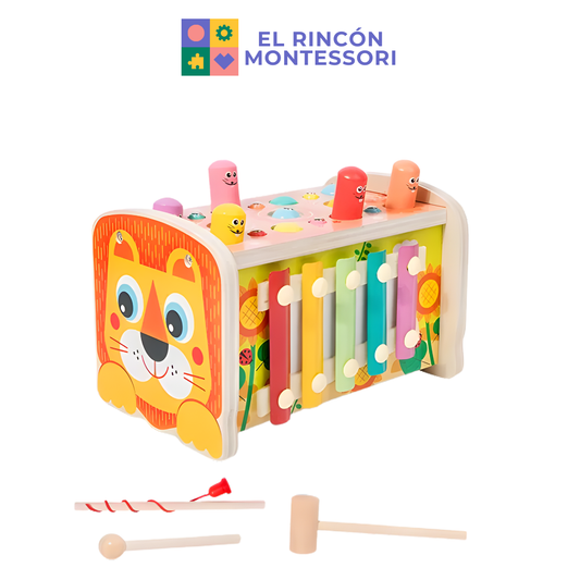 Set León Montessori 4 en 1