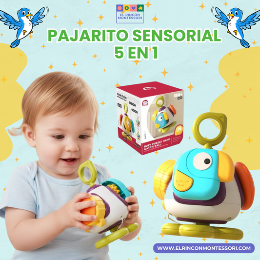 Pajarito Sensorial 5 en 1