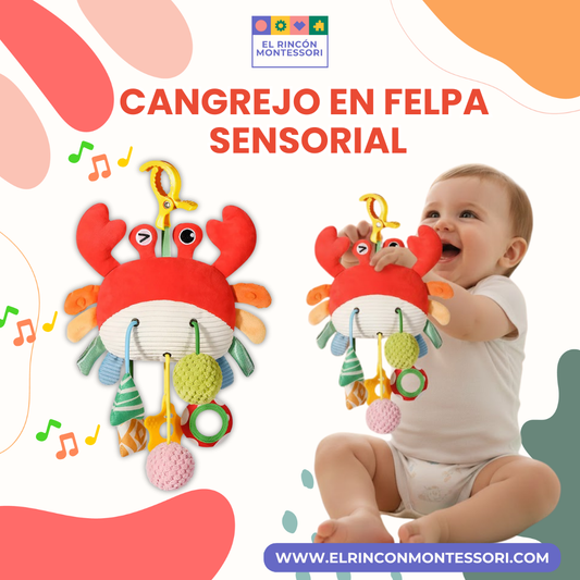 Cangrejo En Felpa Sensorial