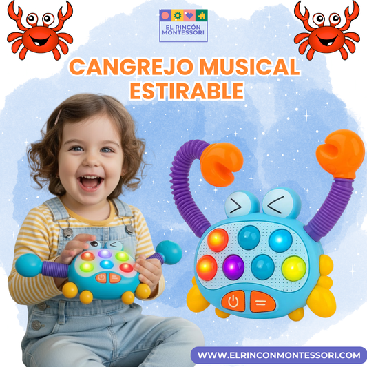Cangrejo Musical Estirable