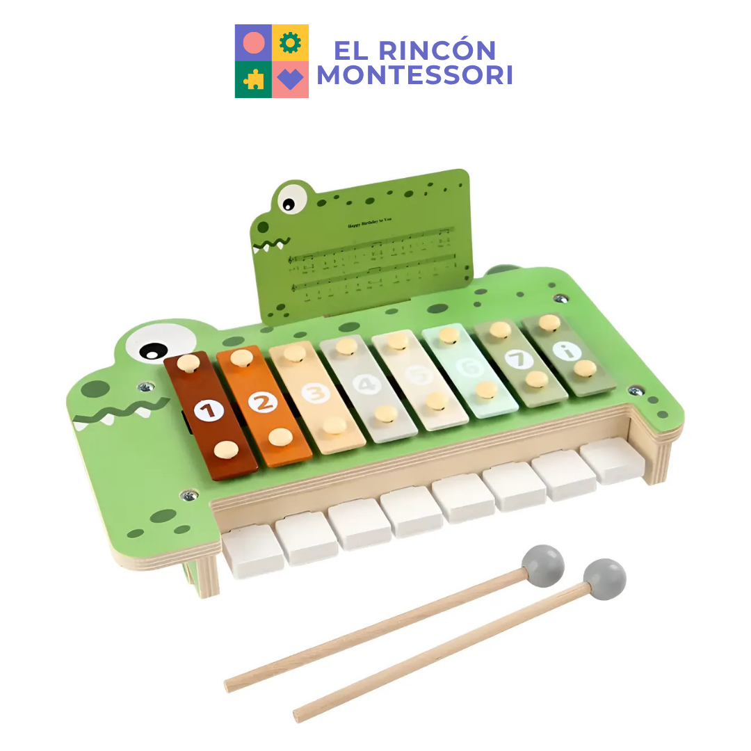 Xilófono Y Piano Musical Interactivo