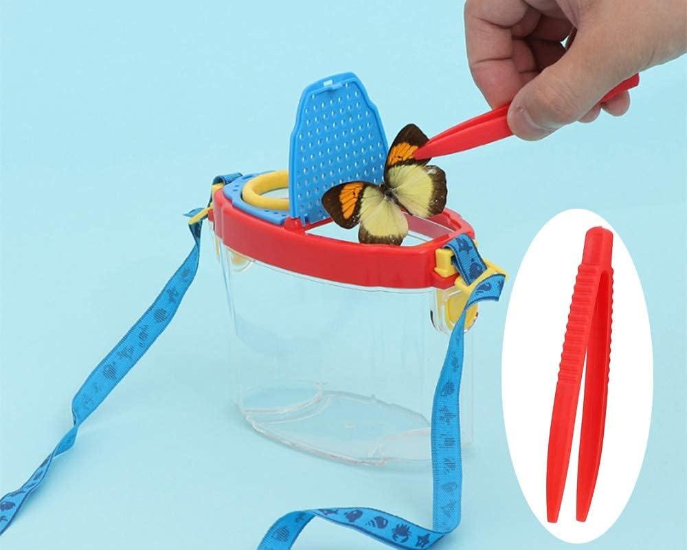 Kit De Observación De Insectos