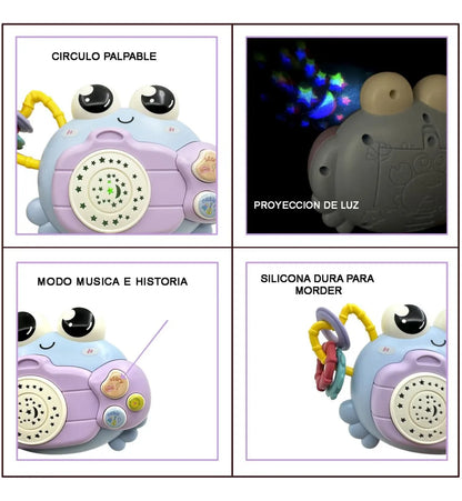 Cangrejito Sonajero Musical