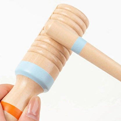 Instrumentos Musicales Montessori