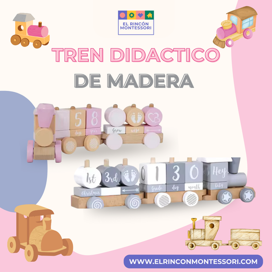 Tren Didactico De Madera